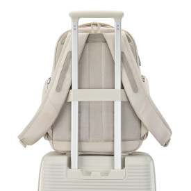 Samsonite Paralux Everyday Backpack