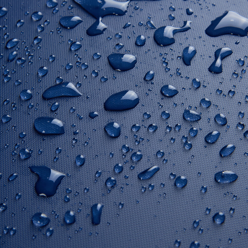 Delsey Raspail Rolling Duffel (LARGE) (40% OFF IN STORE)