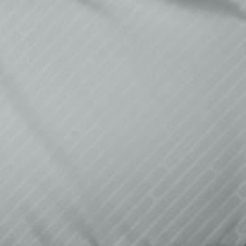 Samsonite Paralux Paralux 2-1 Travel Backpack